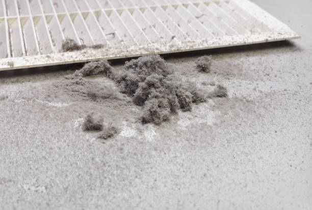 Best HVAC System Cleaning  in Cedar Point, NC