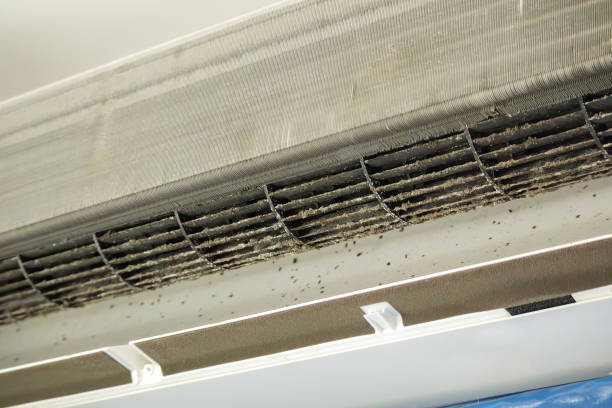 Best Residential Air Duct Cleaning  in Cedar Point, NC